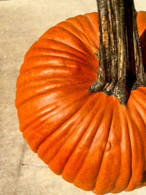 Pumpkin which we use to make our favorite Byrek